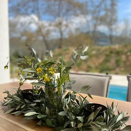 Vakantiehuis Neues In Thasos Mit Grosser Terrasse *