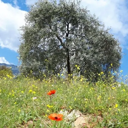 Feriehus Neues In Thasos Mit Grosser Terrasse